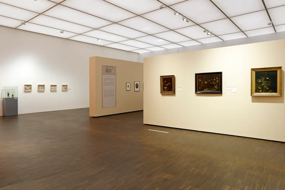Raumaufnahmen_Schrieck_634.JPG