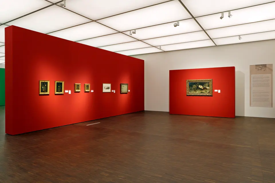 Raumaufnahmen_Schrieck_673.JPG