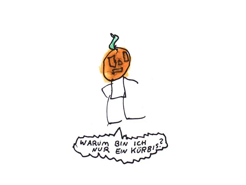 shady_1.jpg