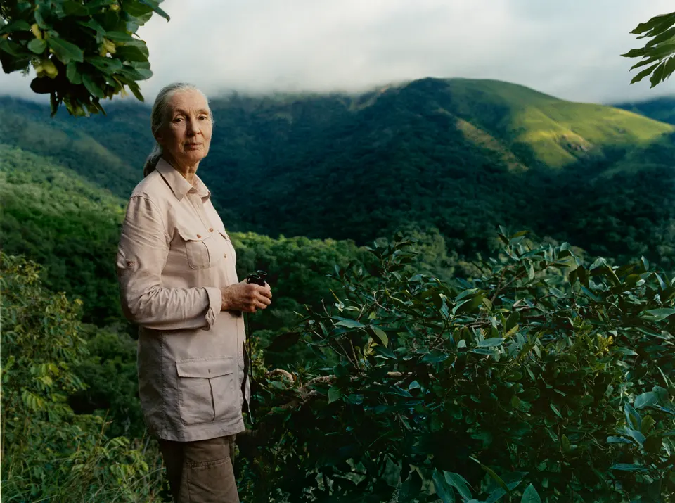 jane-goodall-institut-gombe-_c_Morten_Bjarnhof.JPG